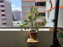 Blk 797 Woodlands Drive 72 (Woodlands), HDB Executive #535840821